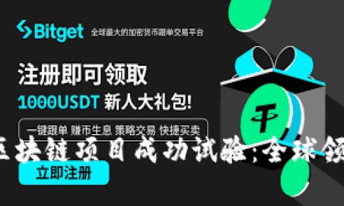 2023年的区块链项目成功试验：全球领先案例解析