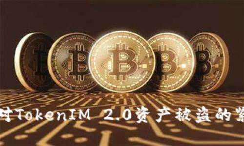 如何应对TokenIM 2.0资产被盗的紧急指南