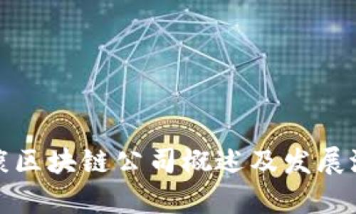 银川健康区块链公司概述及发展潜力分析