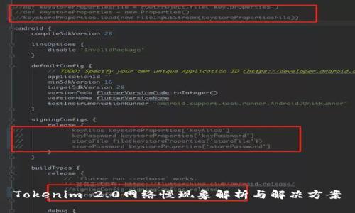 Tokenim 2.0网络慢现象解析与解决方案