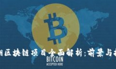 深圳龙湖区块链项目全面解析：前景与投资机会