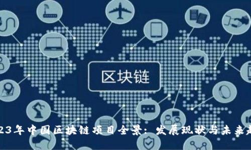 2023年中国区块链项目全景: 发展现状与未来趋势