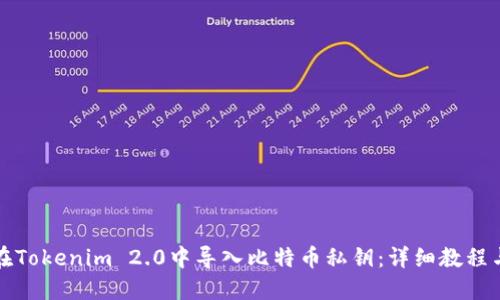 如何在Tokenim 2.0中导入比特币私钥：详细教程与技巧