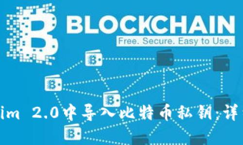 如何在Tokenim 2.0中导入比特币私钥：详细教程与技巧