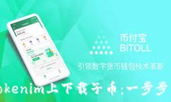  如何在Tokenim上下载子币：一步步详细指南