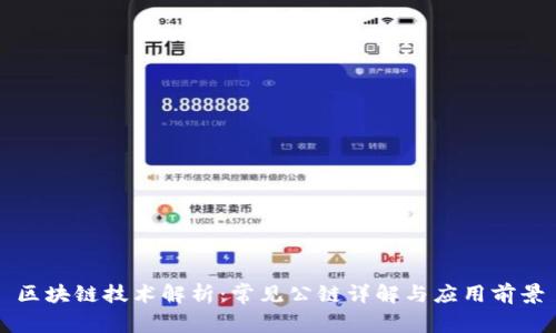 区块链技术解析：常见公链详解与应用前景