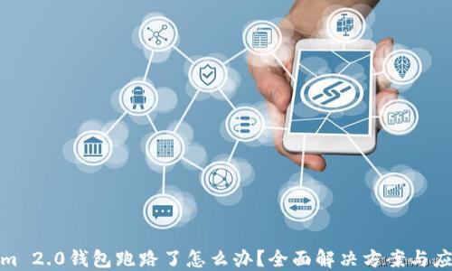 
Tokenim 2.0钱包跑路了怎么办？全面解决方案与应对策略