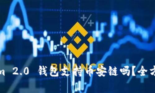 Tokenim 2.0 钱包支持币安链吗？全方位解析