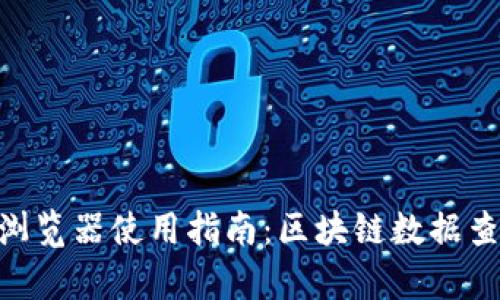 Tokenim区块浏览器使用指南：区块链数据查询与分析利器