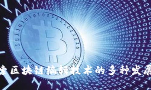 : 探索区块链编辑技术的多种发展方向