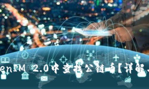 如何在TokenIM 2.0中查找公链币？详解与解决方案
