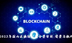 2023年国内区块链公司全景分析：前景与挑战