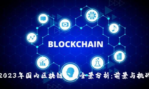 2023年国内区块链公司全景分析：前景与挑战