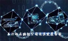 王兴的区块链公司及其发展分析