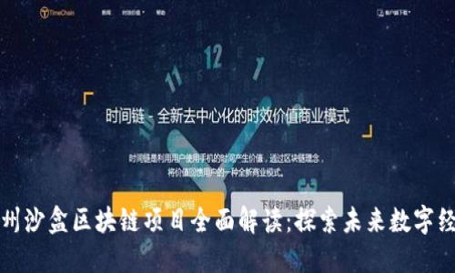 杭州沙盒区块链项目全面解读：探索未来数字经济
