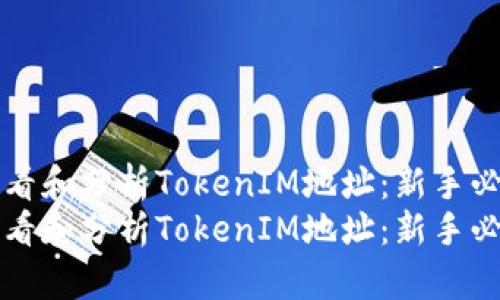如何查看和分析TokenIM地址：新手必备指南
如何查看和分析TokenIM地址：新手必备指南