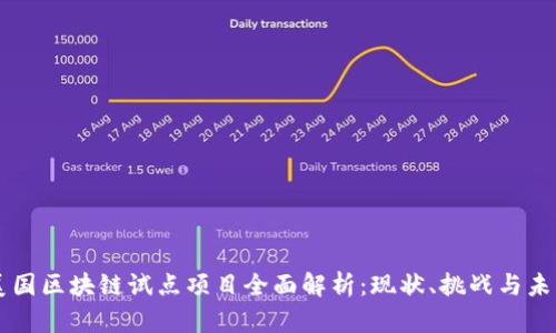 美国区块链试点项目全面解析：现状、挑战与未来