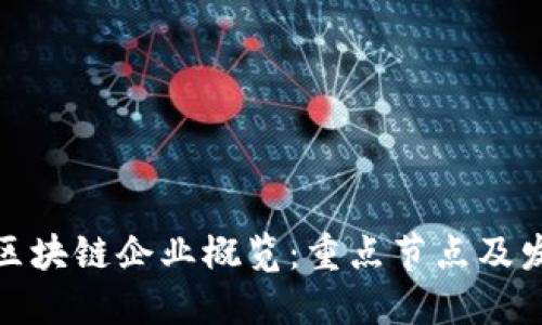 浙江省区块链企业概览：重点节点及发展现状