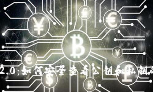 Tokenim 2.0：如何安全查看公钥和私钥的完整指南