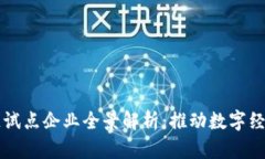 武汉区块链试点企业全景解析：推动数字经济的