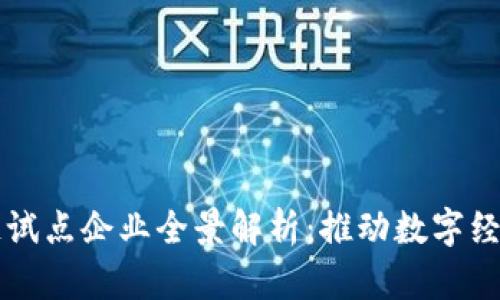 武汉区块链试点企业全景解析：推动数字经济的新动力