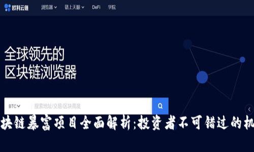 区块链暴富项目全面解析：投资者不可错过的机会