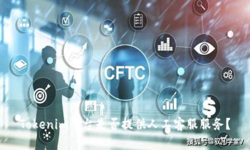 Tokenim平台是否提供人工客服服务？