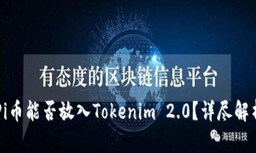 ### Pi币能否放入Tokenim 2.0?详尽解析与分析