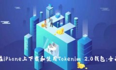 如何在iPhone上下载和使用Tokenim 2.0钱包：全面指南
