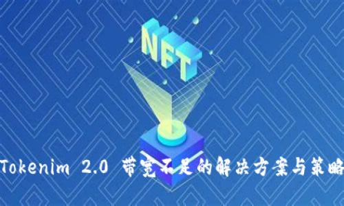 Tokenim 2.0 带宽不足的解决方案与策略