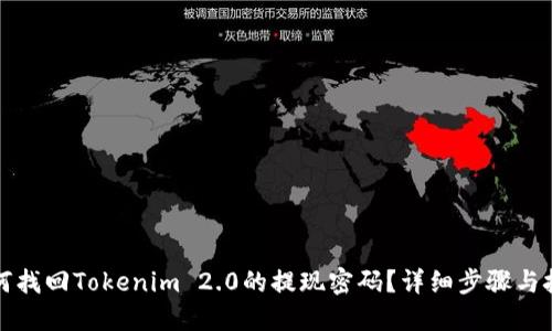 如何找回Tokenim 2.0的提现密码？详细步骤与技巧