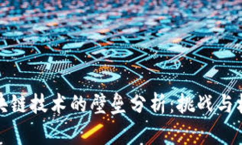 区块链技术的壁垒分析：挑战与机遇