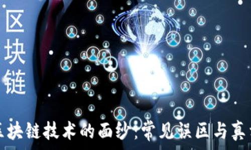   
揭开区块链技术的面纱：常见误区与真相解析