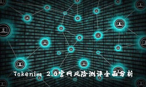 Tokenim 2.0官网风险测评全面分析