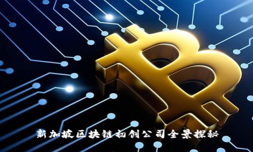新加坡区块链初创公司全景探秘