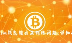 如何解决Tokenim钱包转出未到账问题：详细指南与