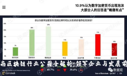 湖南区块链行业公司全解析：领军企业与发展前景