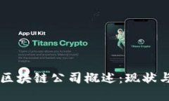 重组区块链公司概述：现状与未来
