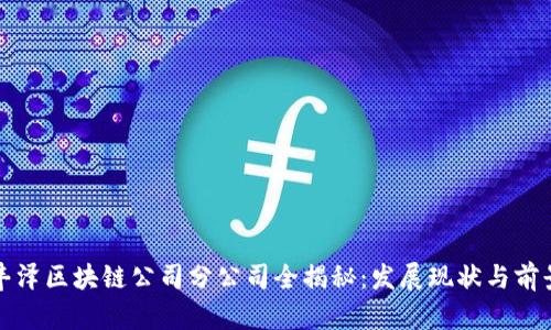 丰泽区块链公司分公司全揭秘：发展现状与前景