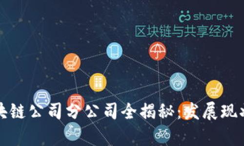 丰泽区块链公司分公司全揭秘：发展现状与前景