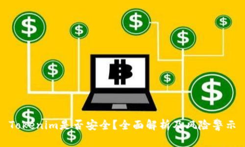 Tokenim是否安全？全面解析及风险警示