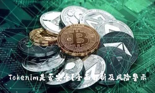 Tokenim是否安全？全面解析及风险警示