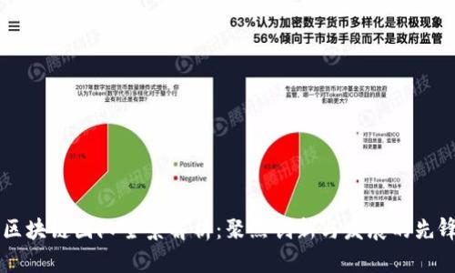 中国区块链团队全景解析：聚焦创新与发展的先锋力量