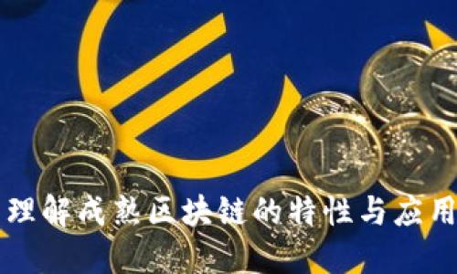 理解成熟区块链的特性与应用