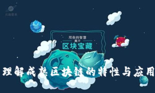 理解成熟区块链的特性与应用
