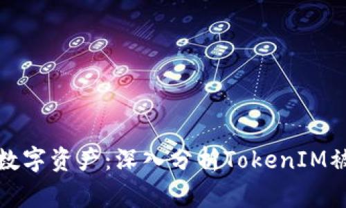 如何保护您的数字资产：深入分析TokenIM被盗事件的教训