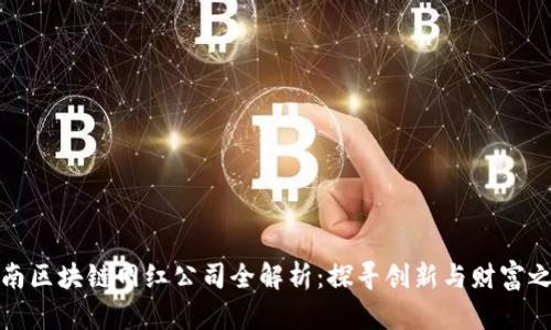 河南区块链网红公司全解析：探寻创新与财富之路