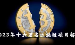 2023年十大著名区块链项目解析