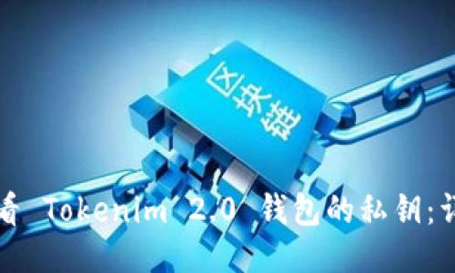 如何查看 Tokenim 2.0 钱包的私钥：详尽指南