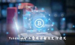 Tokenim矿工费用详解及支付方式